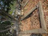 image of grave number 835096
